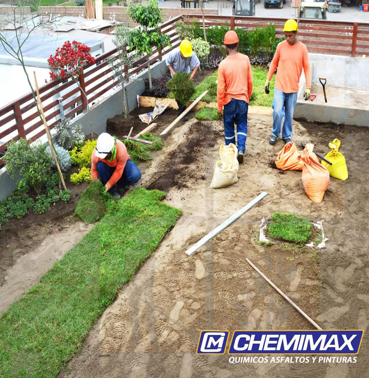 proyecto techo verde