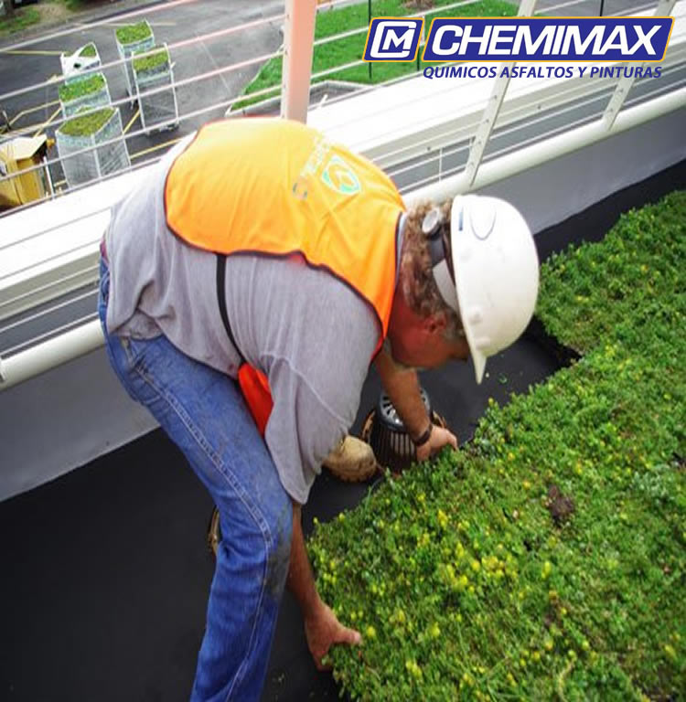 instalacion techo verde